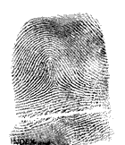 fingerprint4