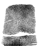 fingerprint5